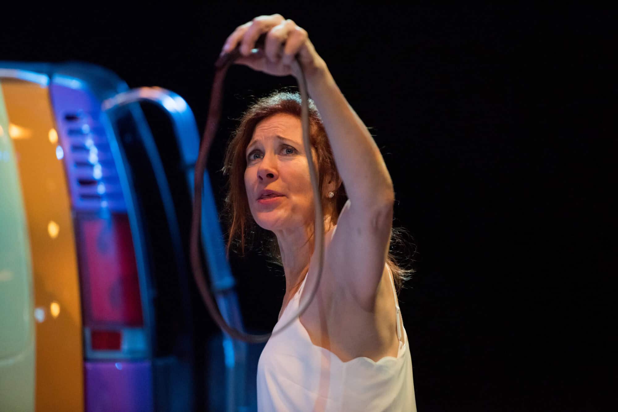 Wild Horses at CATF Photo 4